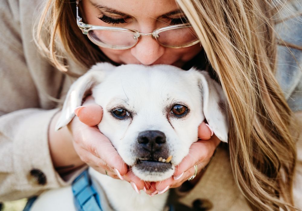 Close up of happy white dog being cuddled by someone wearing glasses.