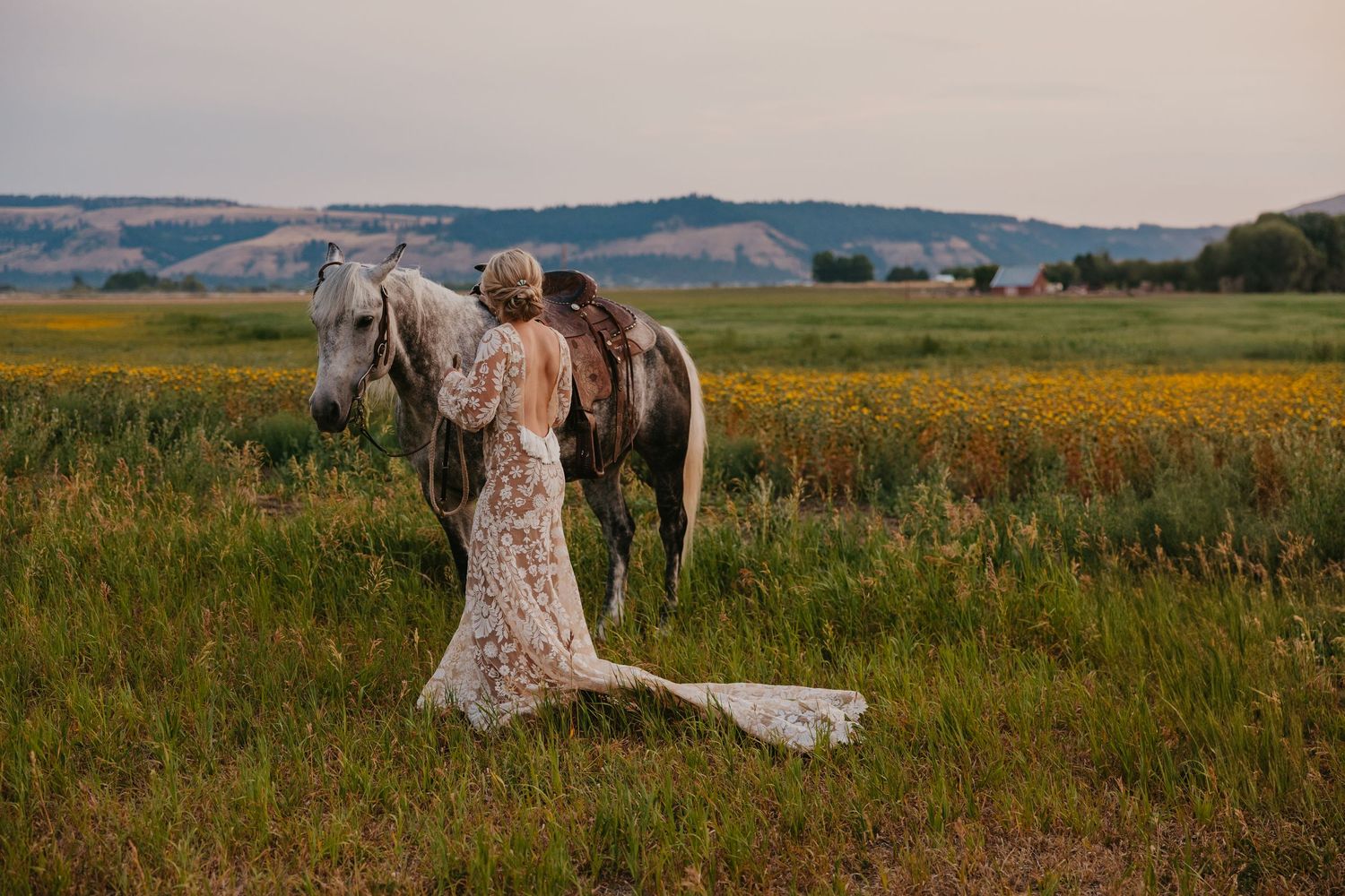 Cowboy saddles her horse to ride away into the sunset captured by Montana Western Wedding photographer. Paradise Valley Wedding Photographer