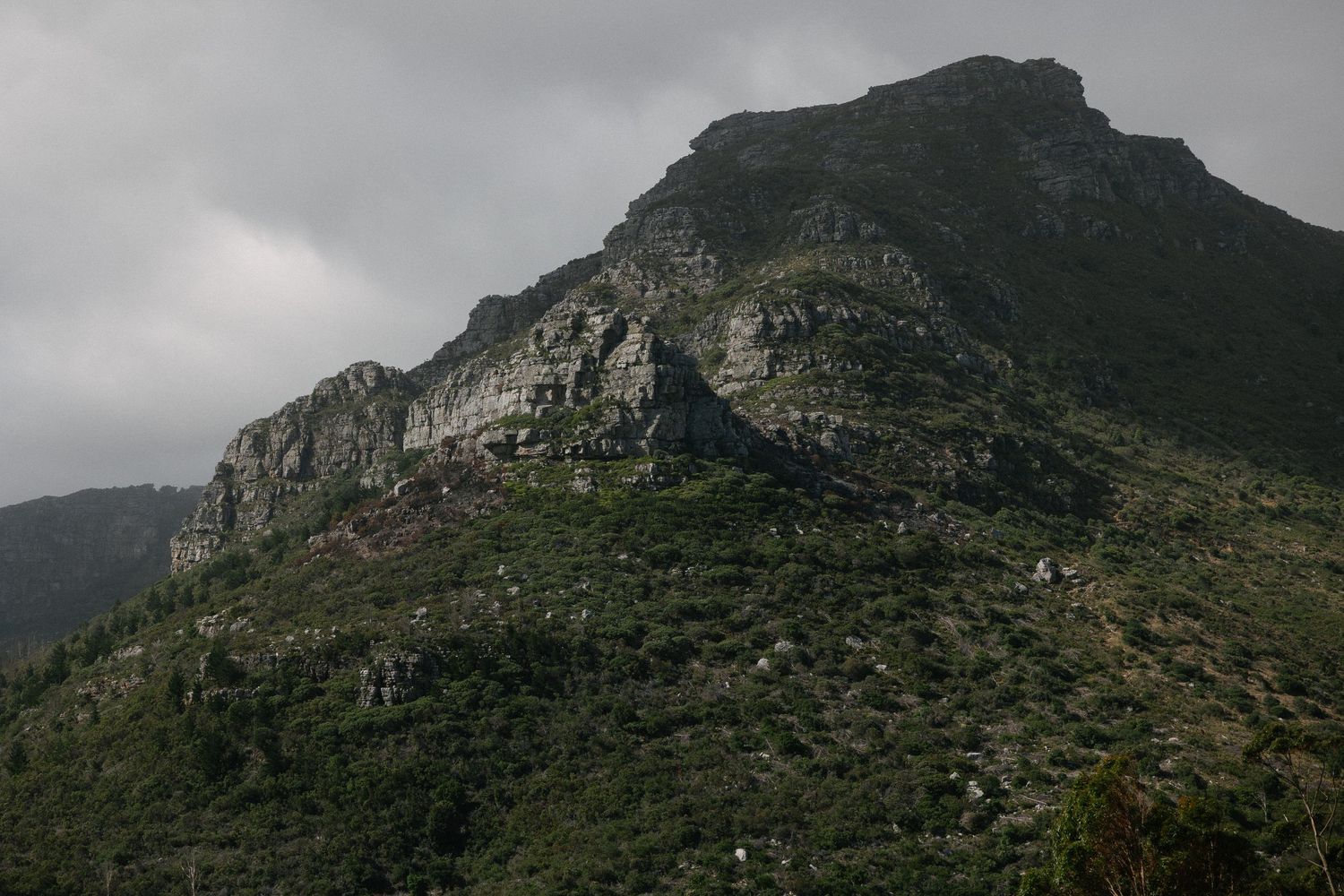 Cape Town wedding photographer Christene de Coning at Silvermist Constantia documentary wedding