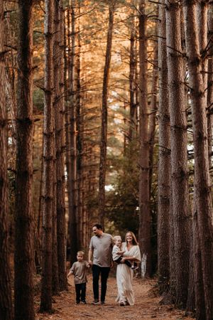 A family of four strolls through a tall pine forest bathed in warm golden autumn light.