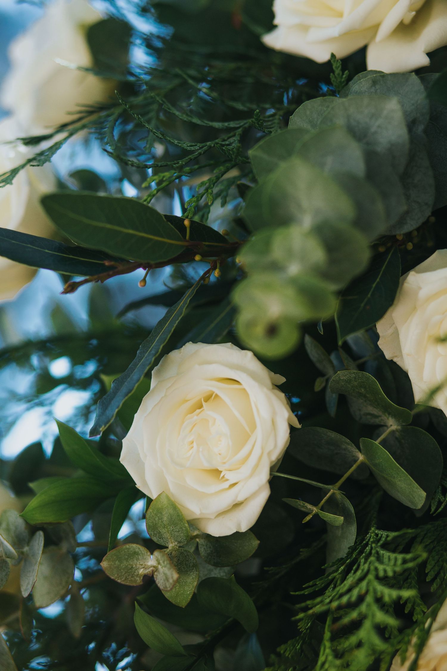 Delicate white rose surrounded by eucalyptus and fern leaves in a wedding arch floral arrangement.