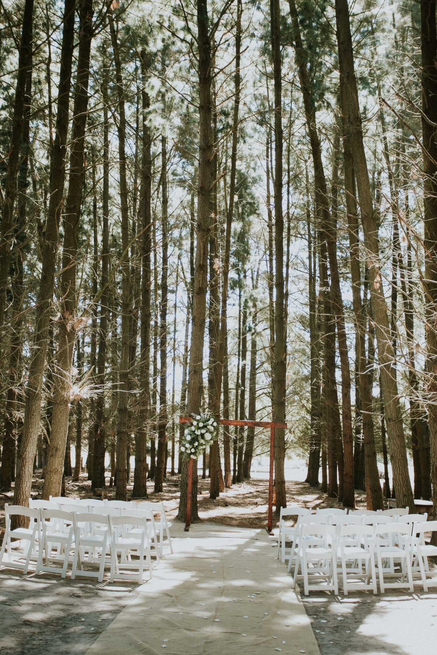 Stunning forest wedding ceremony setup with white chairs and floral arch between tall pine trees.