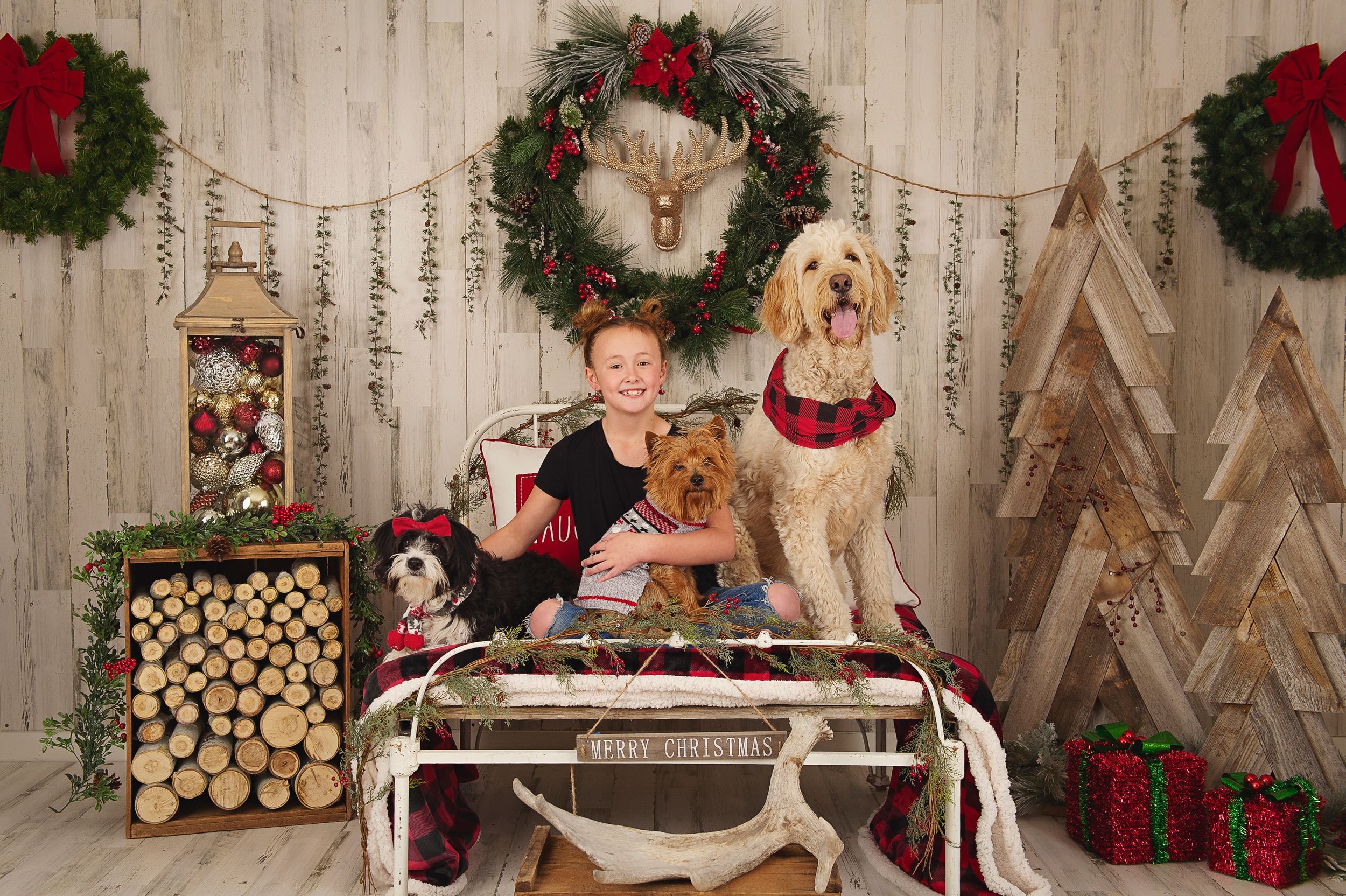 Each of our Christmas sets are custom styled and built! Creating something truly unique each year! Blackfoot, Idaho Falls, Pocatello photog