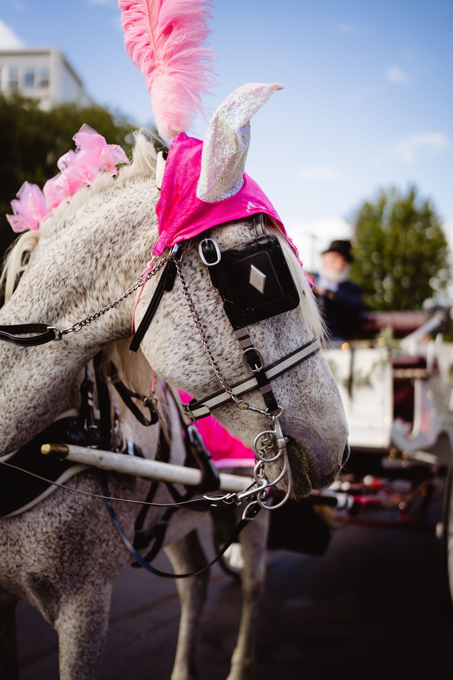 Row of decorative carousel horses with pink manes and grey bodies lined up at an outdoor event.
