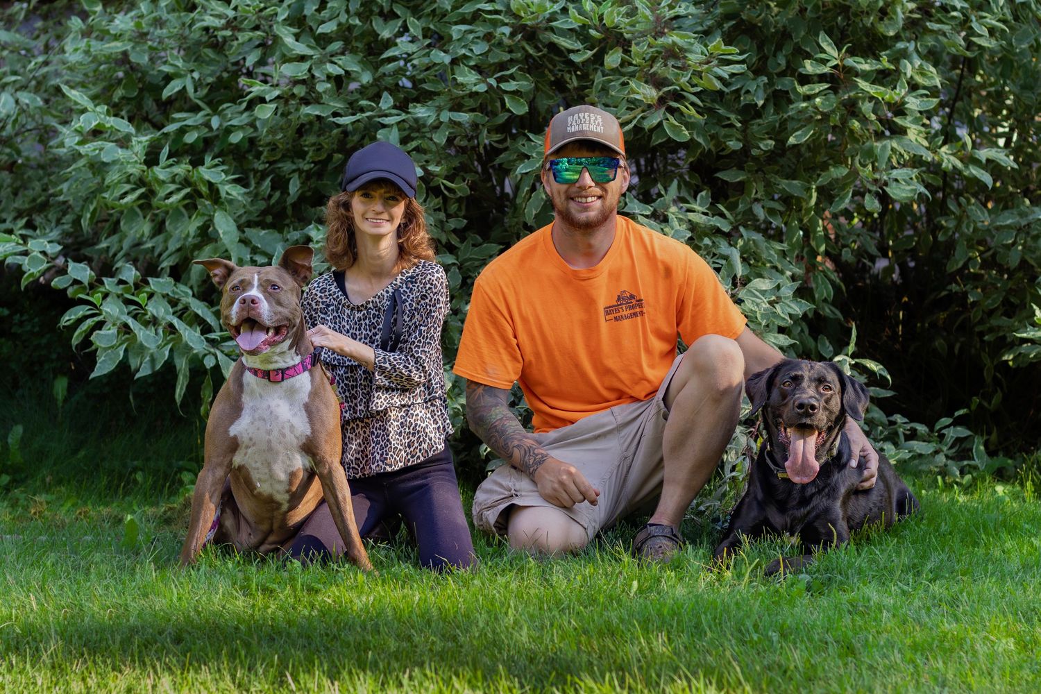 A couple sits on grass with two Labrador dogs in front of lush green bushes outdoors.
