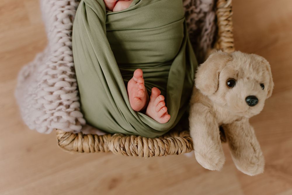 Small feet wrapped in olive green fabric next to a plush dog toy.