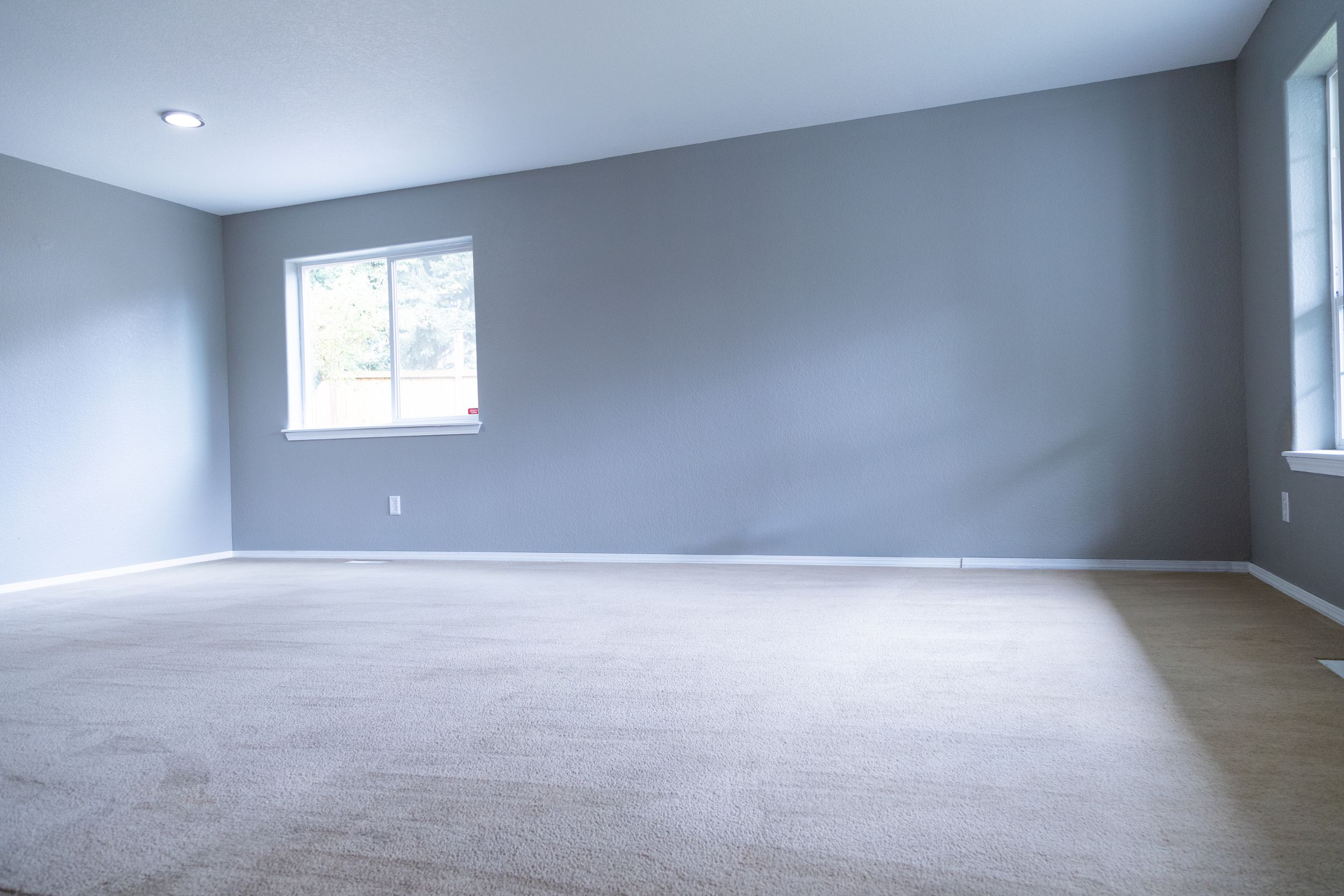 Empty carpeted room with gray walls and multiple windows letting in natural light.