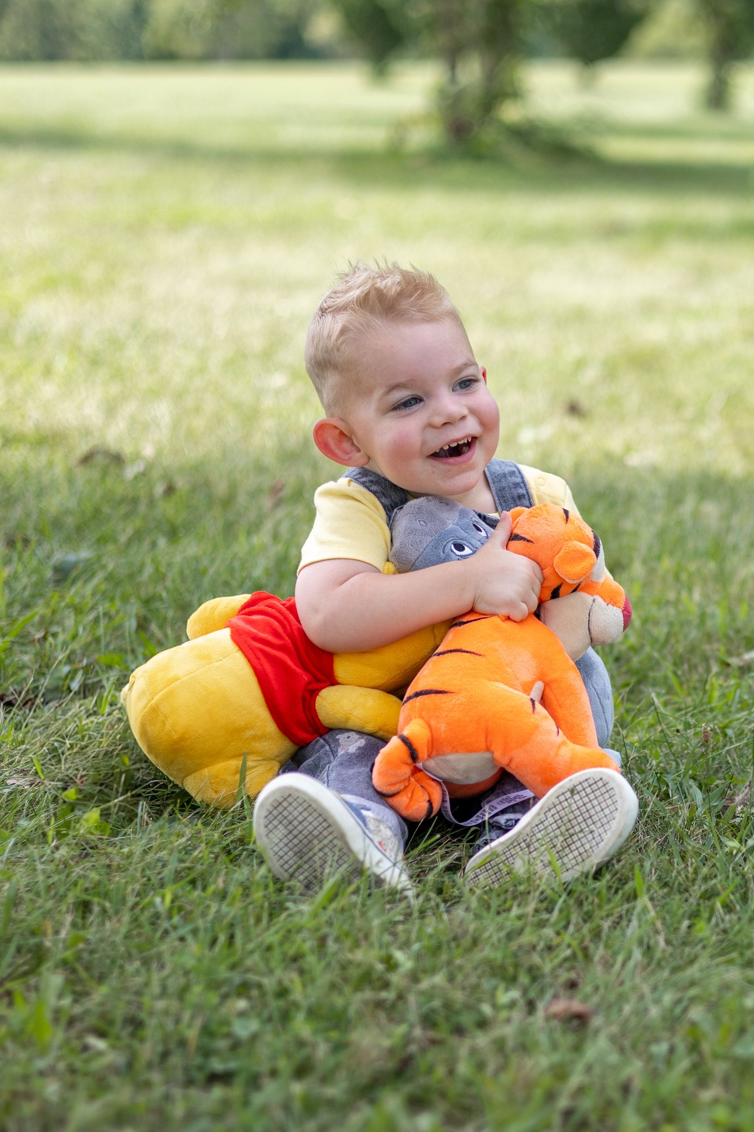 Springfield Il Photographer captures a boy hugging stuffed animals during a milestone session in Central IL
