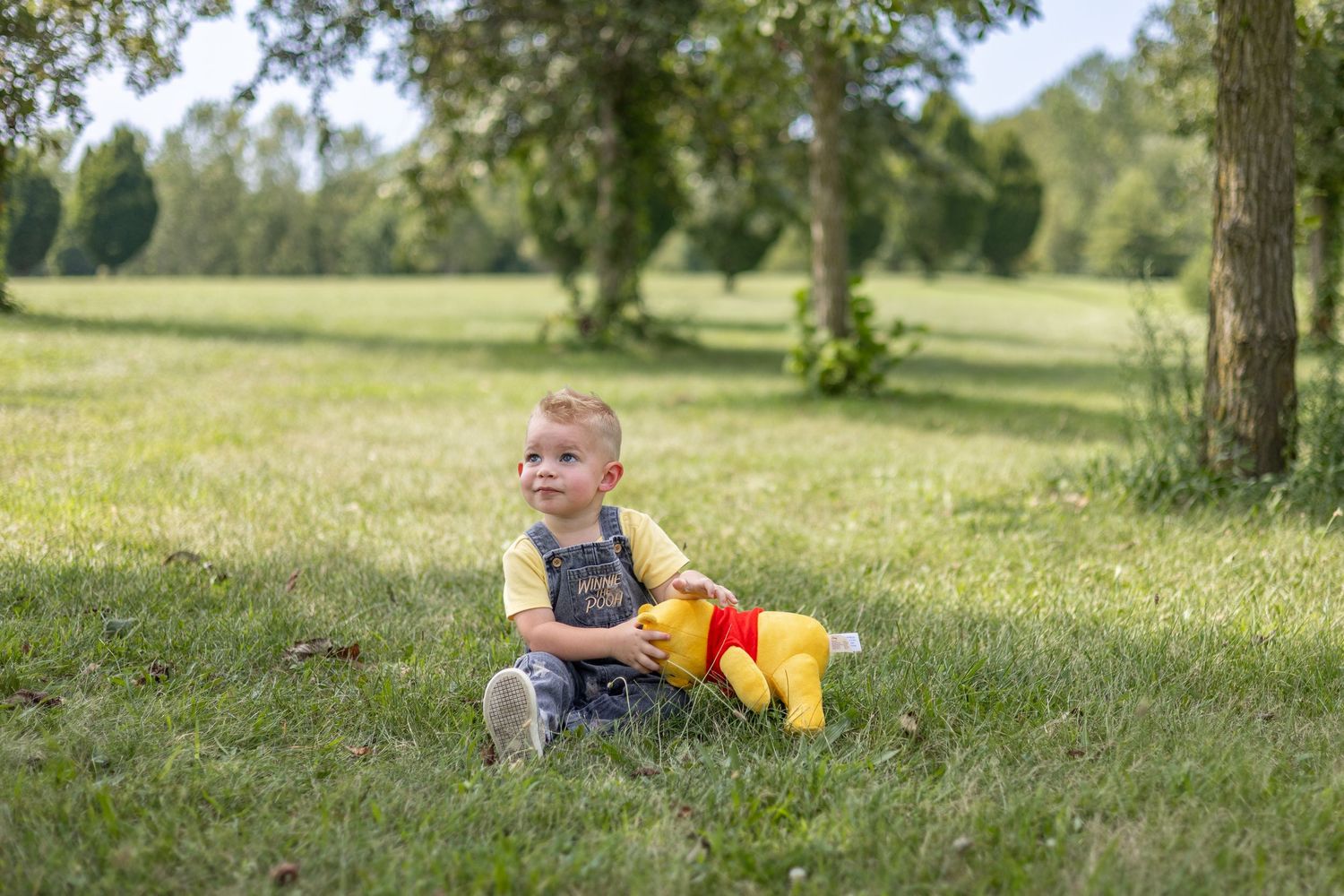 Springfield, IL Photographer captures a boy sitting in the grass and looking to the side during a milestone session in Central IL