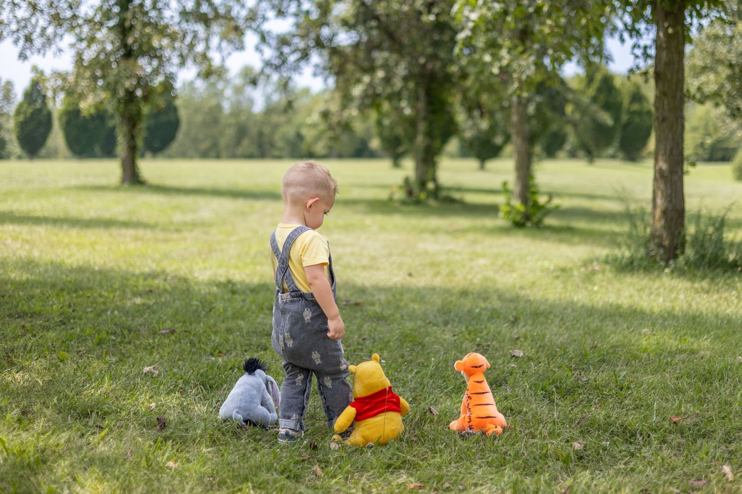 Springfield, IL Photographer captures a boy standing next to his stuffed animals & looking at them during a milestone session in Central IL