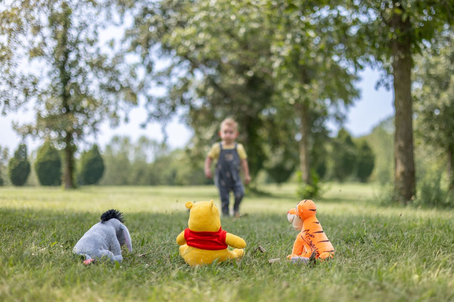 Springfield, IL Photographer captures a boy running to his stuffed animals during a milestone session in Central IL