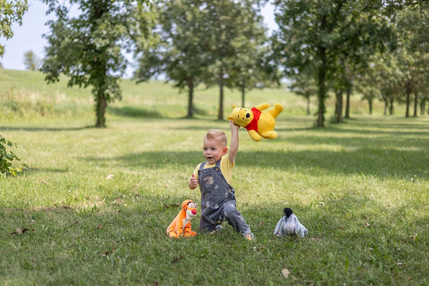 Springfield, IL Photographer captures a boy holding his stuffed animals in the air during a milestone session in Central IL