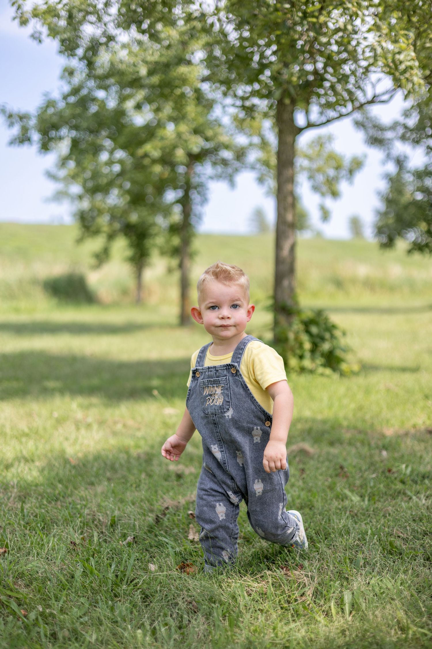 Springfield, IL Photographer captures a boy walking in the grass with a smirk during a milestone session in Central IL