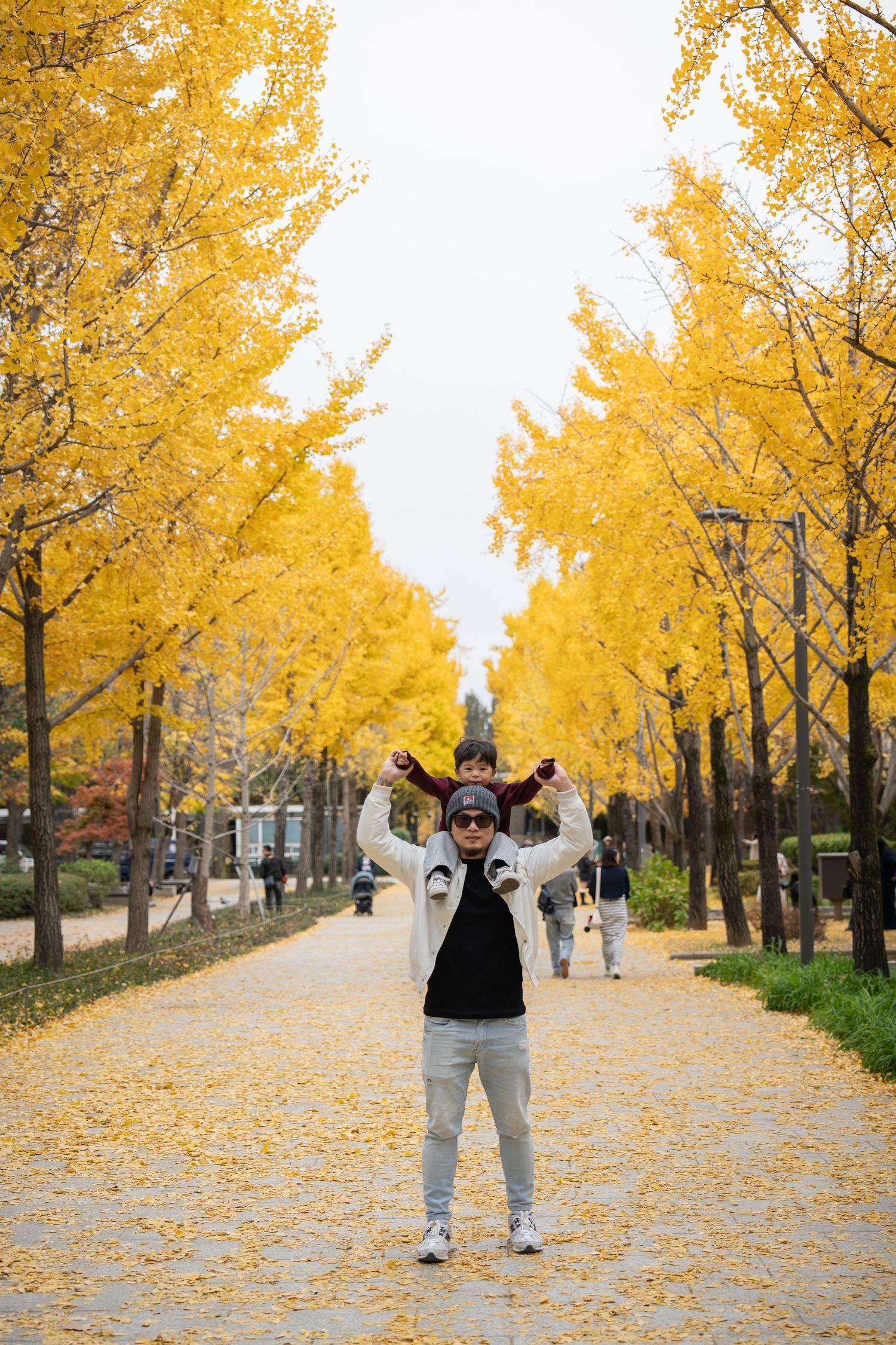 Autumn scene with yellow ginkgo trees lining a path covered in golden leaves, with scattered people enjoying the scenery.