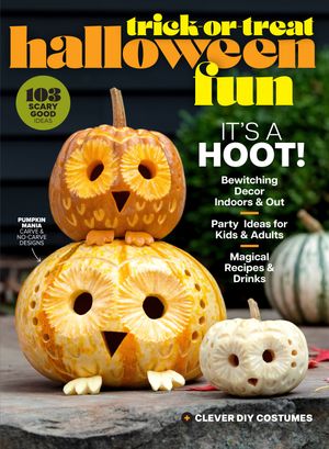 Carved Halloween pumpkins with glowing owl faces displayed against a dark background. Product photography. Editorial Photography.