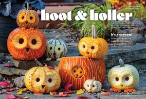 Collection of illuminated owl-shaped jack o'lanterns arranged outdoors for Halloween decoration. Product photography. Editorial Photography.