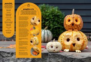 Row of creative owl-themed carved pumpkins with glowing eyes displayed on rustic wooden surface. Product photography. Editorial Photography.