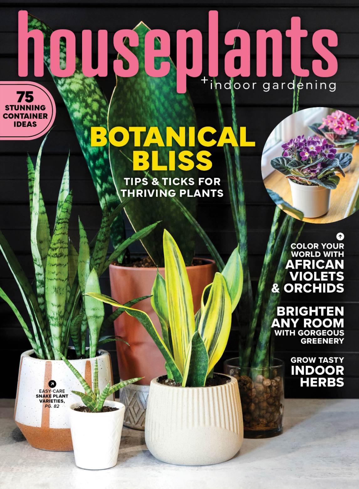 Houseplants & Indoor Gardening magazine cover featuring snake plants in white pots with botanical bliss tips and container ideas.