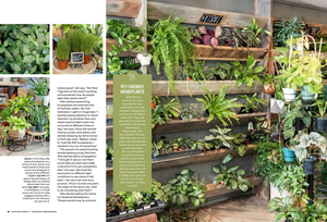 A lush indoor plant display wall featuring pet-friendly houseplants in a garden store, showcasing various green foliage arrangements.