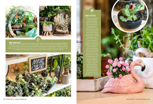 Colorful indoor plant shop display featuring succulents, terrariums, a pink flamingo planter, and lush greenery arrangements.