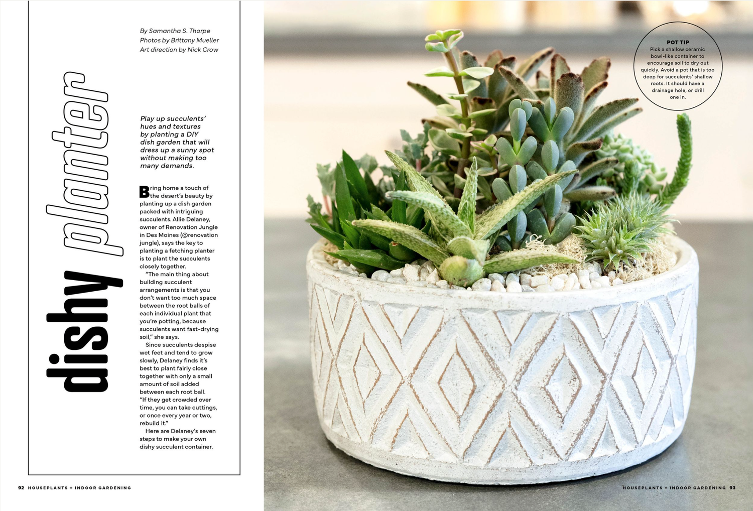 A decorative white concrete bowl planter filled with assorted succulents and cacti, displayed on a white surface.