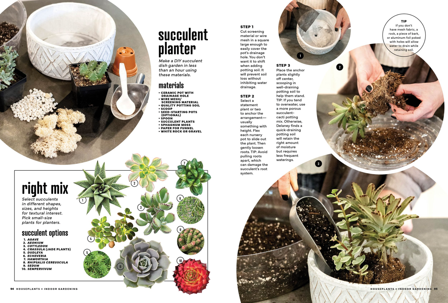 Step-by-step guide to creating a succulent planter with soil, tools, and various succulent plant varieties.