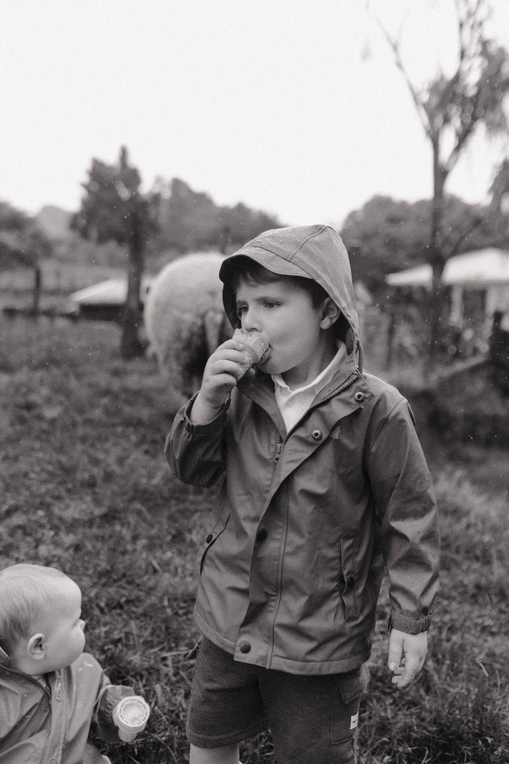 Sequential outdoor photographs of children exploring nature while wearing jackets and hats.