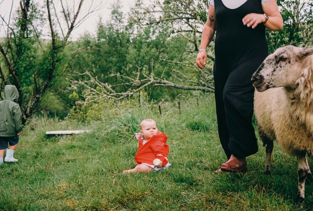 A sequence of outdoor shots capturing playtime in a grassy backyard setting.