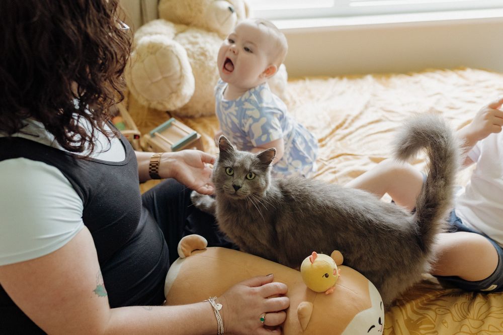 A gray cat lounges near someone holding a rubber duck while a baby sits on the floor of a cozy living room.