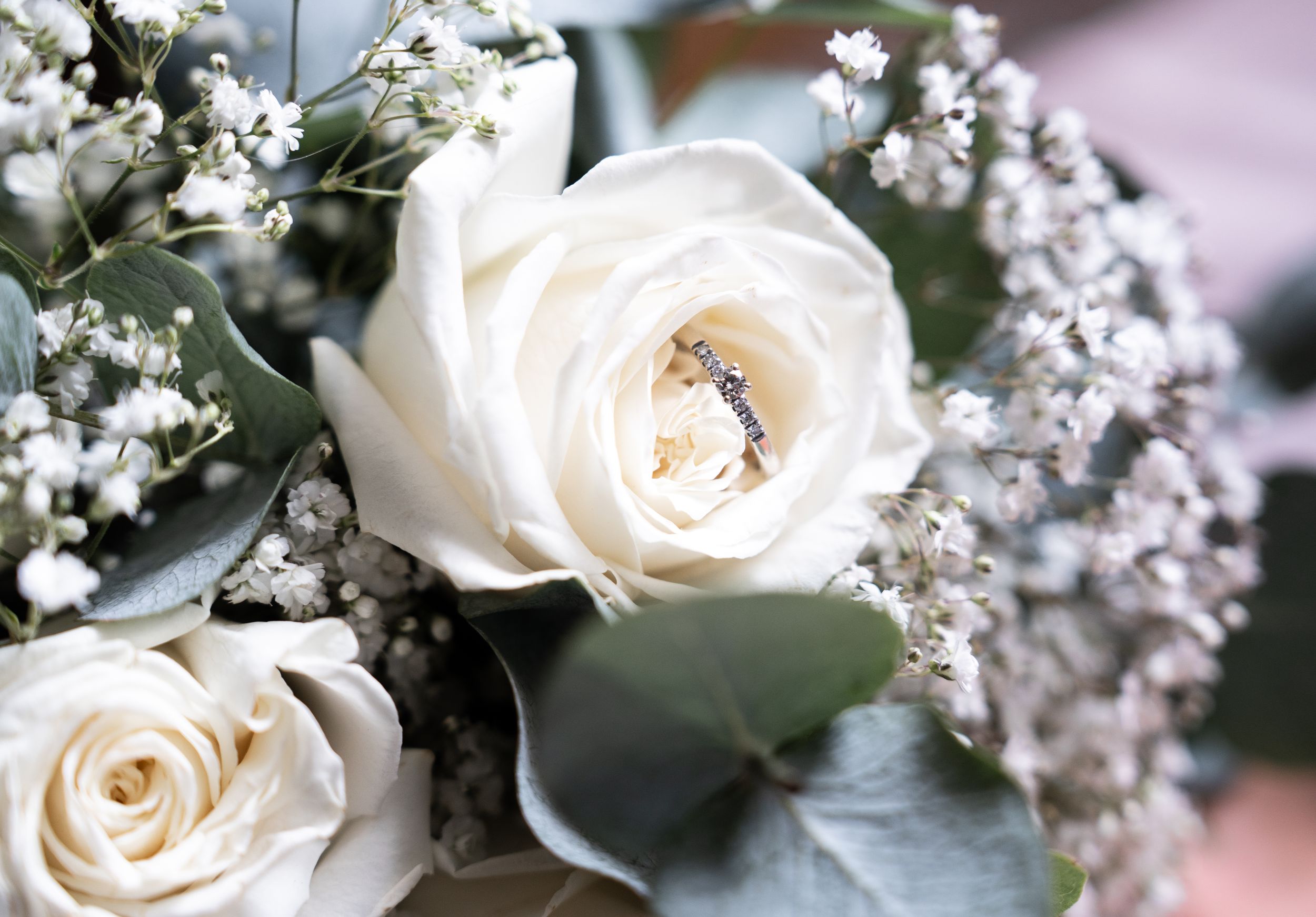 Close-up view of fresh white roses and delicate baby's breath flowers arranged together.