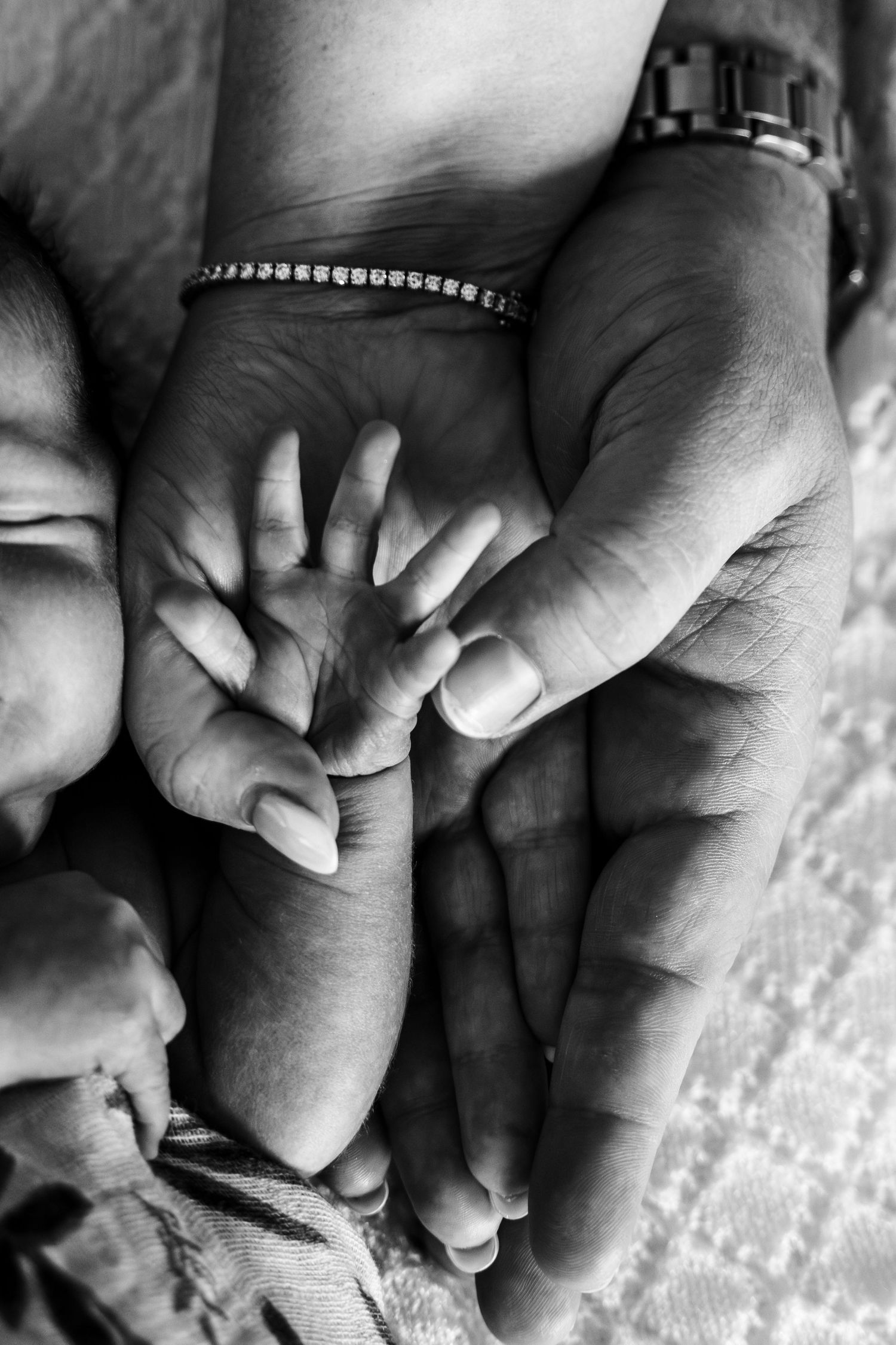 Black and white close-up photographs of tiny baby hands holding adult fingers in a tender, nurturing series.