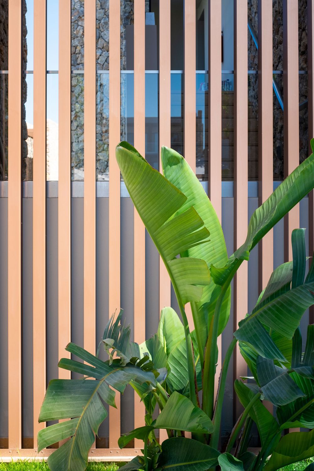 Vertical wooden slats create a modern privacy screen with lush tropical plants growing in front.
