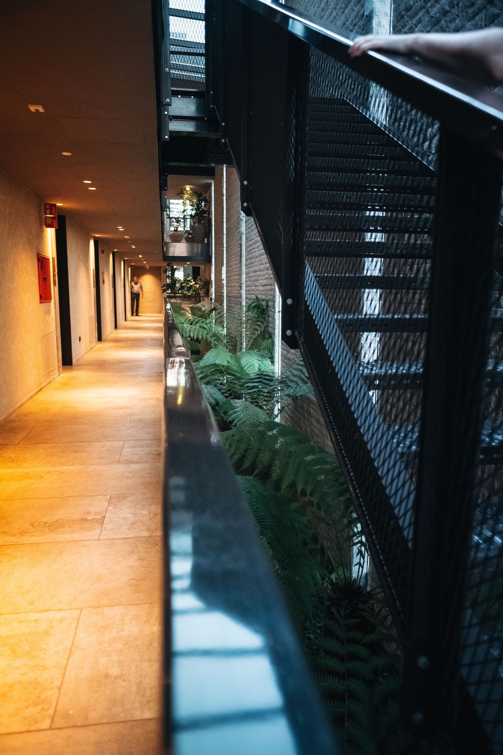 Modern hallway with sleek lighting and greenery along one side creates an elegant atmosphere.