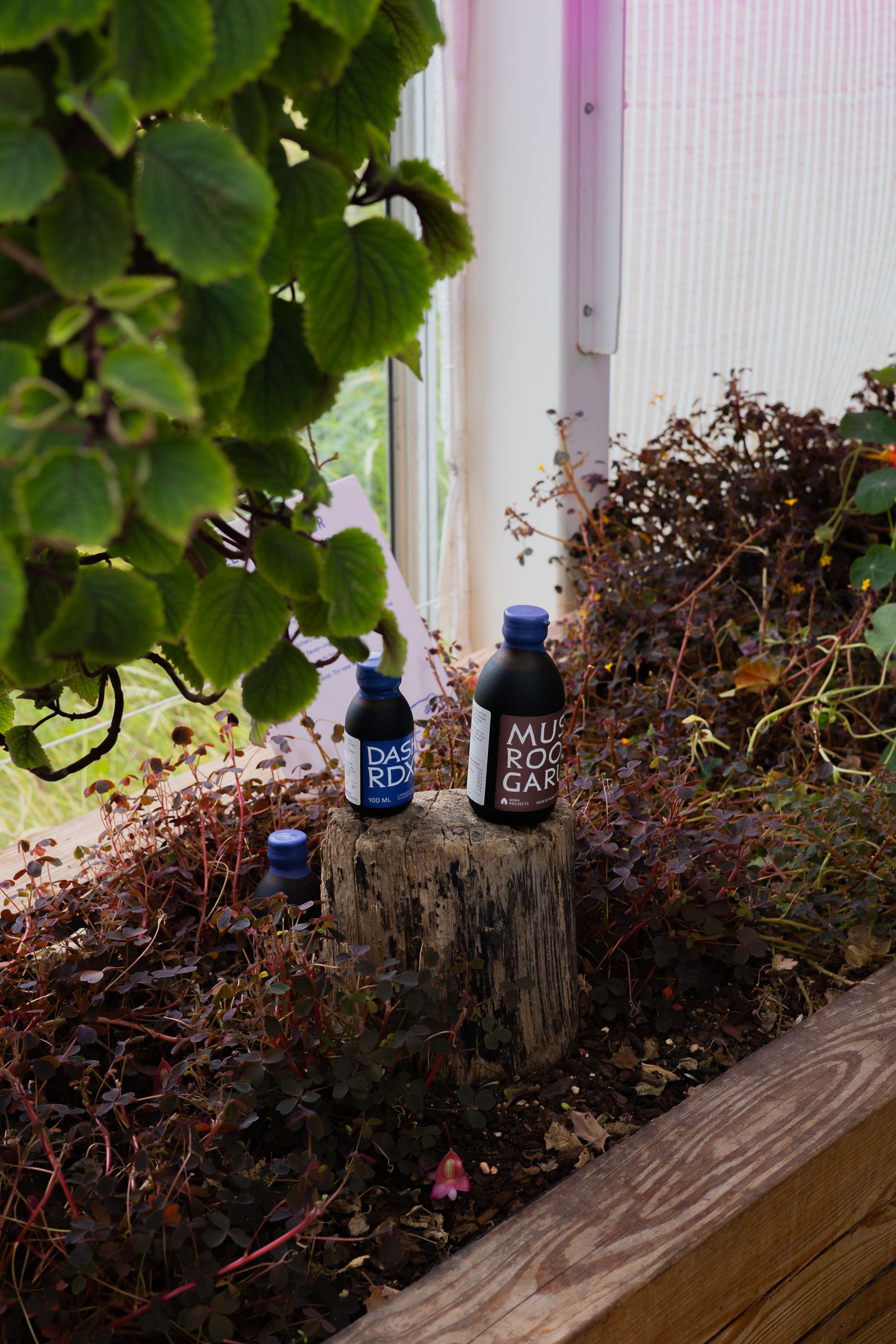 Small blue glass bottle rests on a rustic wooden ledge with dried brown foliage and green leaves in the background.