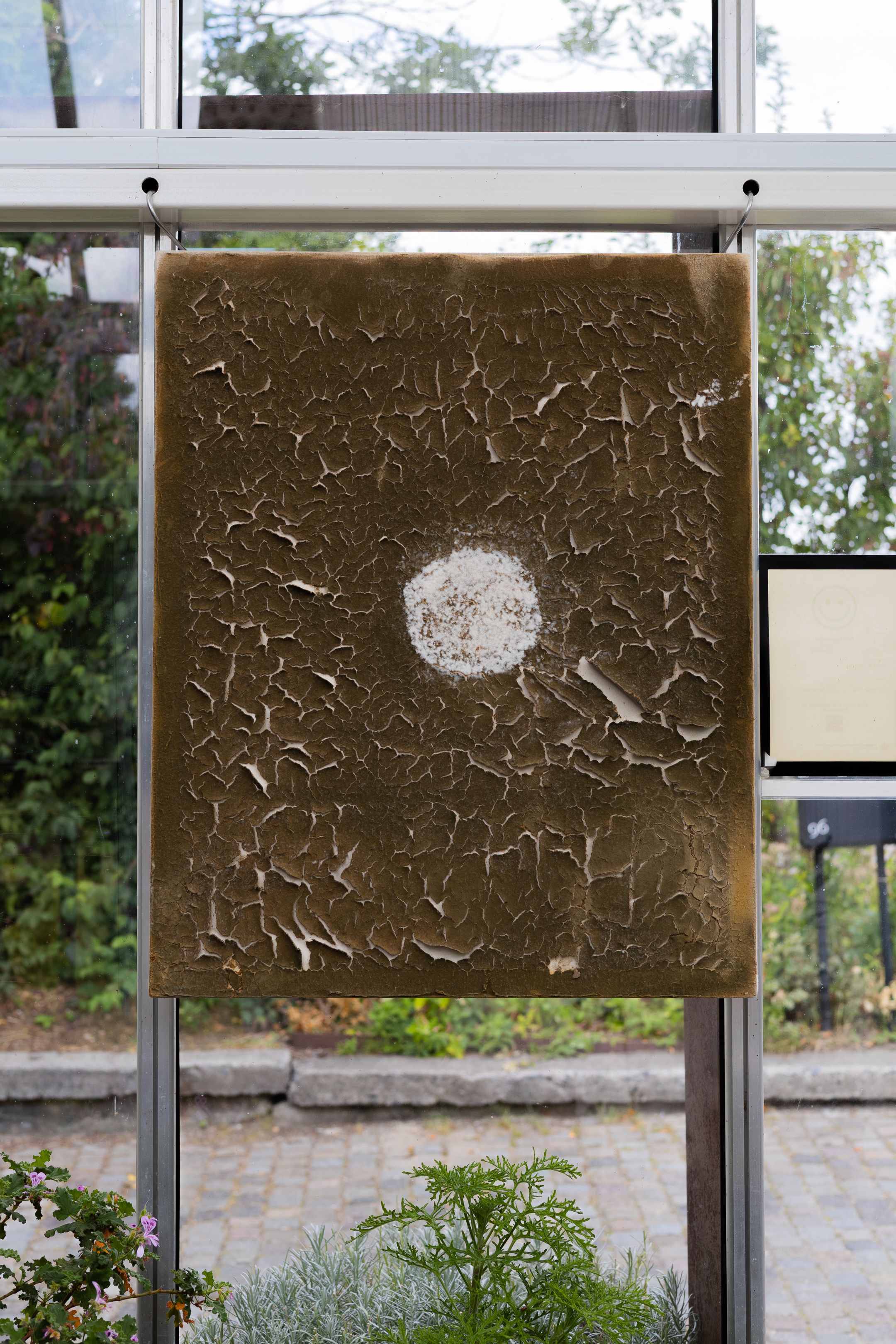 A sequence of photos showing progressive deterioration and flaking of brown paint or coating on a glass window panel.