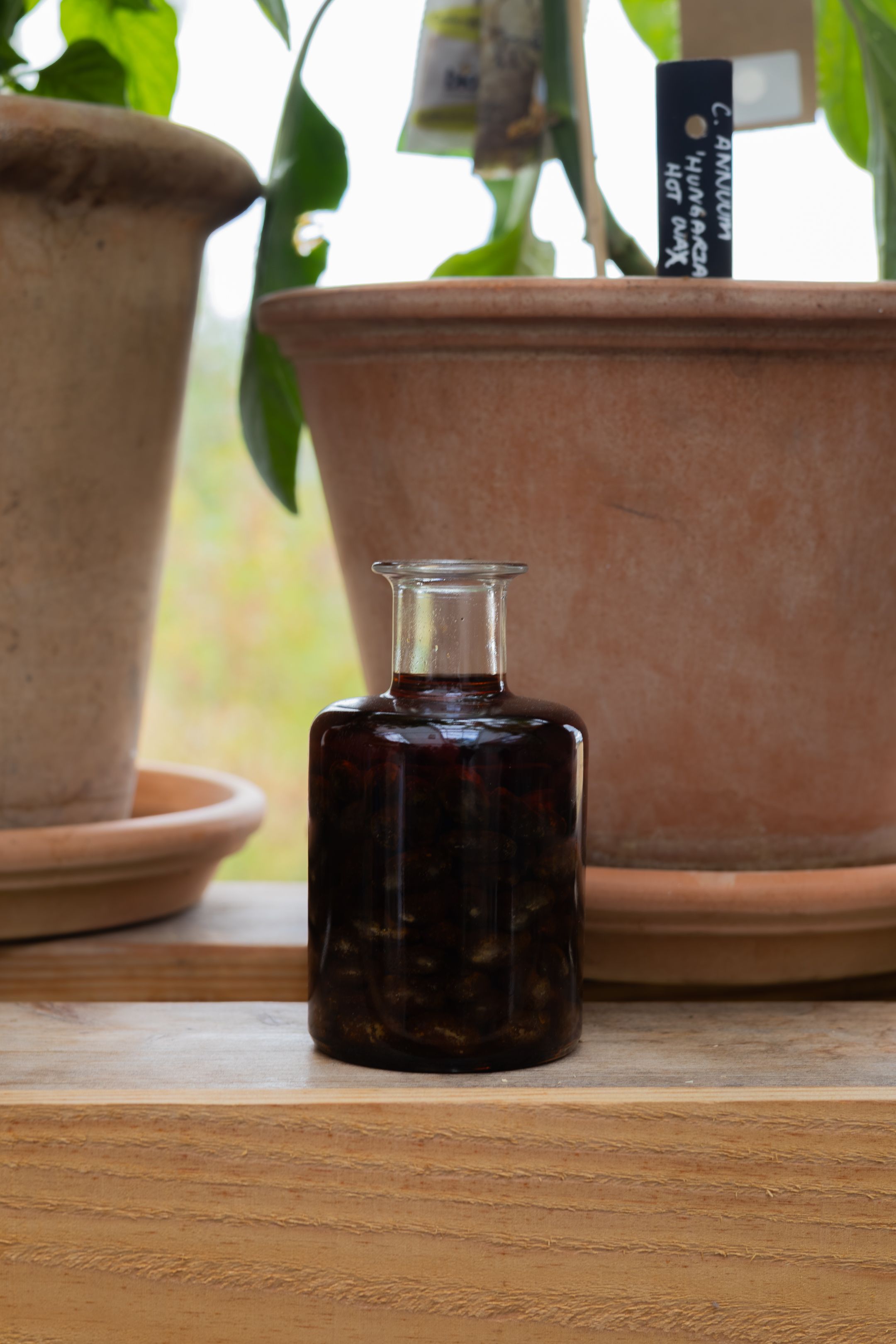 A small dark amber glass apothecary bottle sits on a wooden surface near terracotta planters with green leaves.