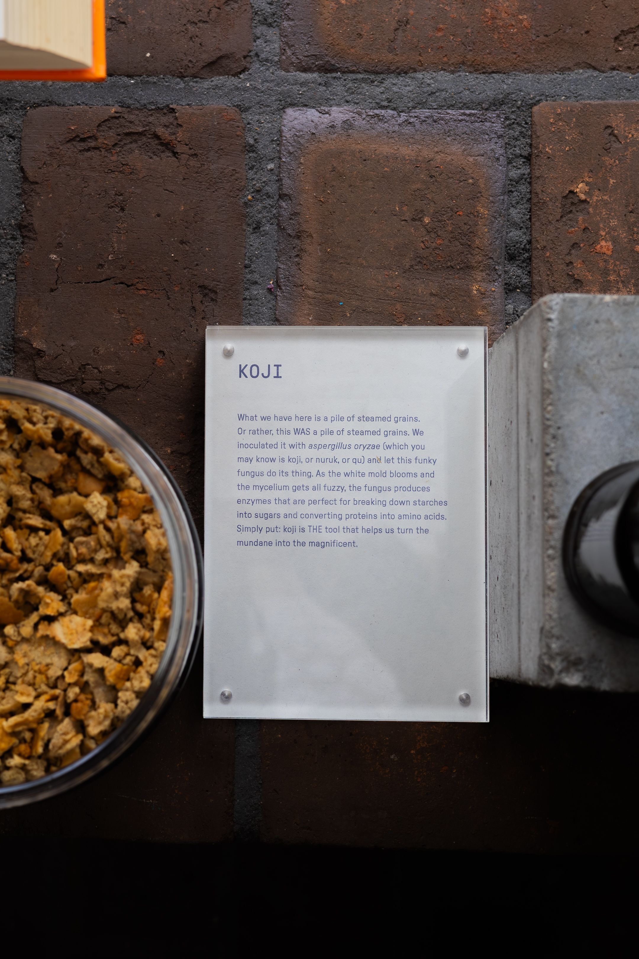 A triptych photo showing Koji fermented soybeans with descriptive text displayed on a wall plaque in low lighting.