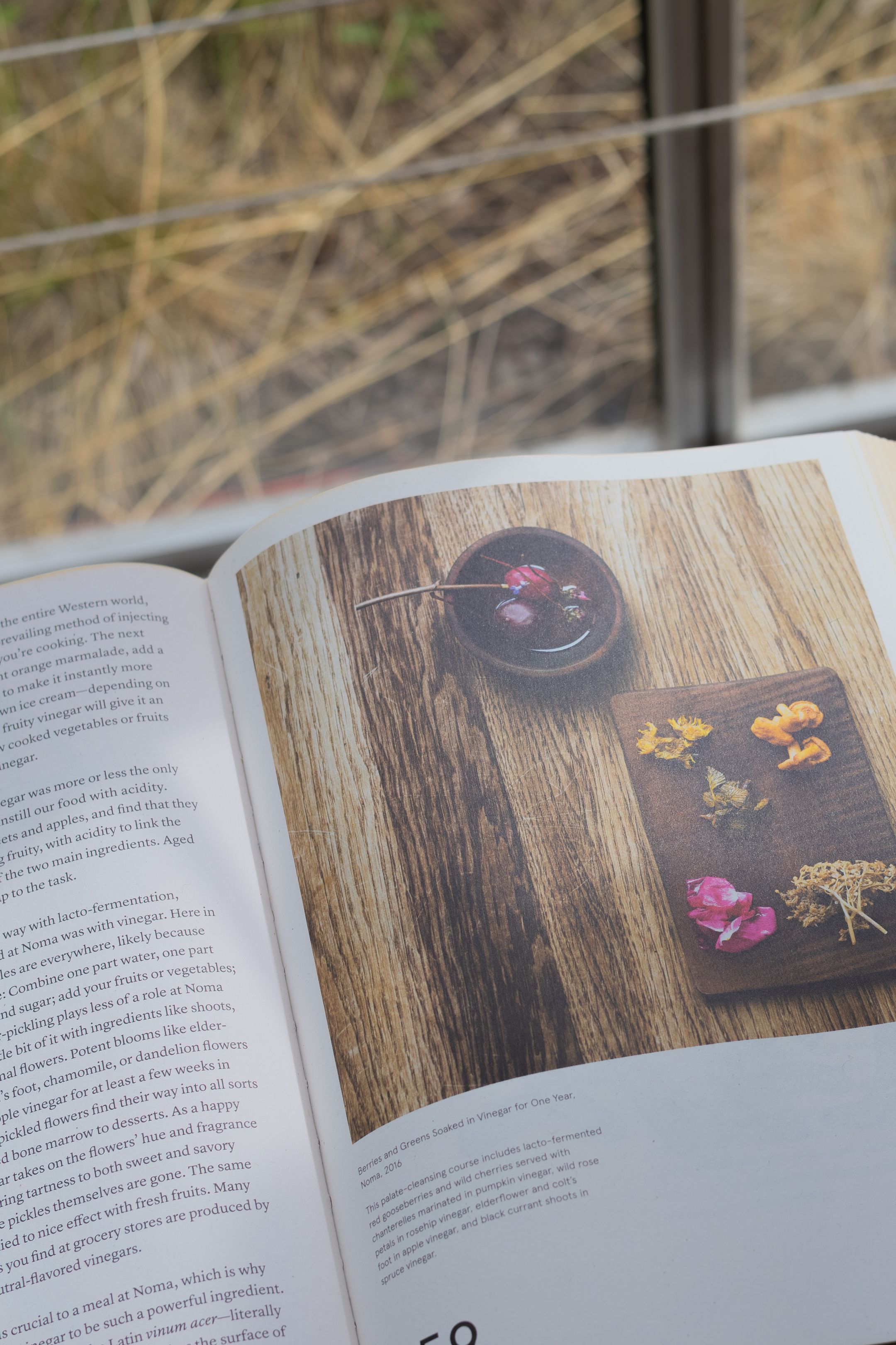 An open book displays artistic photographs printed on textured wooden or bark-like pages, showing delicate floral elements.