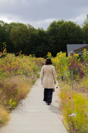 A winding path through a vibrant wildflower garden with colorful blooms on both sides.