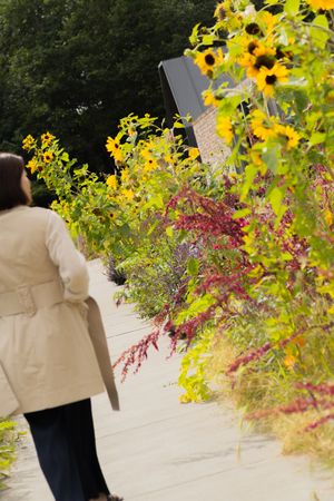 Yellow and pink flowers bloom alongside a walkway on a sunny day.