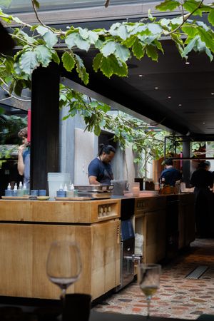 Modern cafe interior with wooden bar counter and hanging grape vines creating natural ambiance.