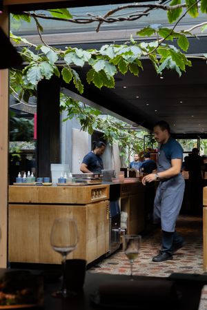 An outdoor restaurant bar area with wooden counters and green vine decorations overhead creates an inviting atmosphere.