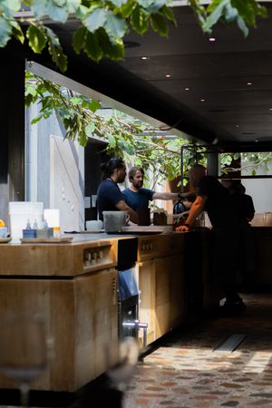 Modern restaurant interior with wooden counter and hanging plants creating an organic ambiance.