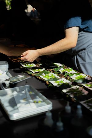 Hands preparing fresh ingredients and plating dishes in a professional kitchen setting.