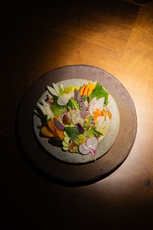 Colorful sashimi and vegetables arranged on a ceramic plate under spotlight.