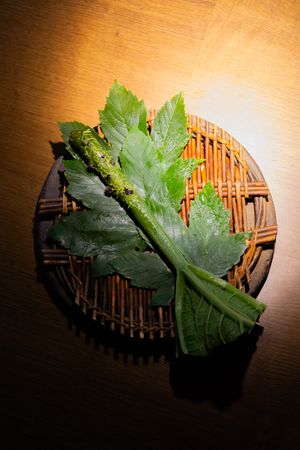 Large green grape leaves arranged on circular wooden serving plate.