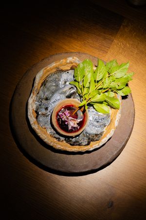 A dramatic spotlit dish served on a dark stone plate features fresh greens and a red sauce in artistic presentation.