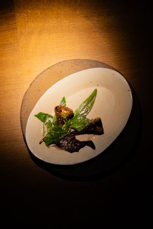 Artfully plated dish with dark elements and fresh green garnish on white plate in dramatic lighting.