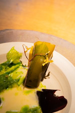Green and yellow abstract plating with dark elements creates an artistic fine dining presentation on a white plate.
