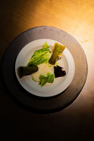 A minimalist plated dish with lettuce and sauce on a white plate with black rim under dramatic lighting.